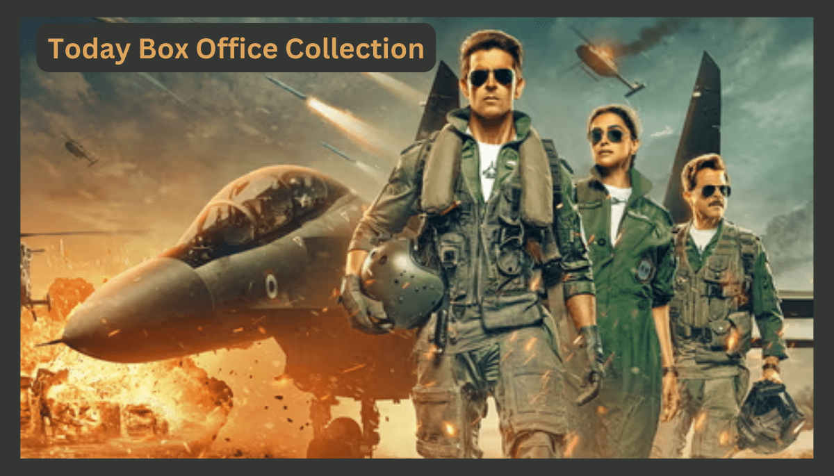 Today Fighter Box Office Collection